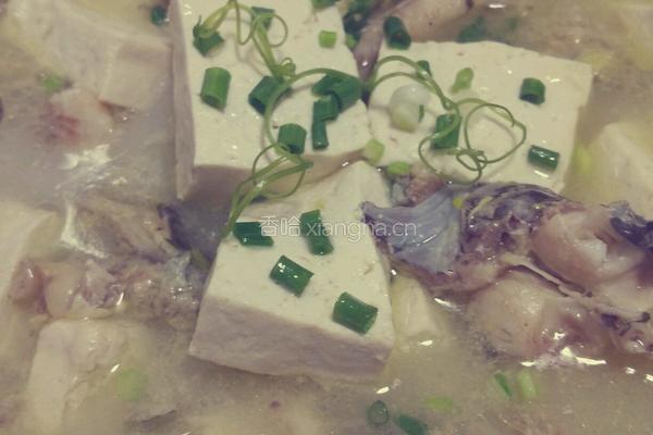 鲶鱼炖豆腐的做法图解13