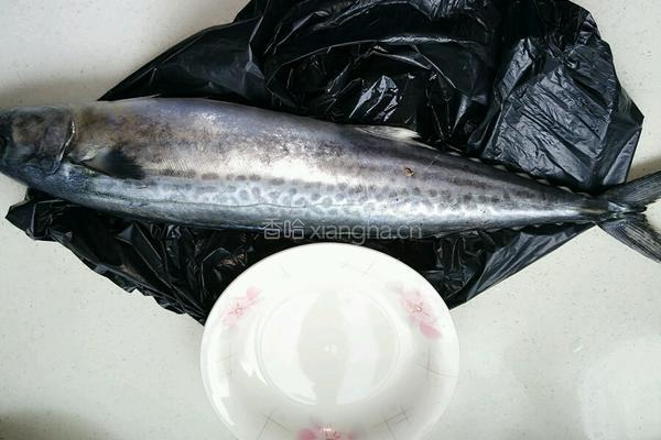 胶东鲅鱼水饺的做法图解1