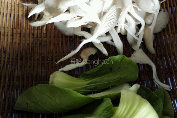 素炒平菇的做法图解1