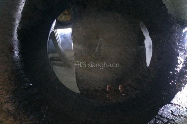萝卜丝炖鲫鱼汤的做法图解4
