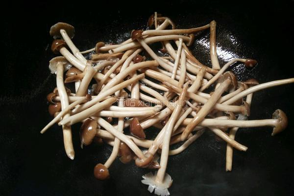 鲜茶树菇炒肉的做法图解5