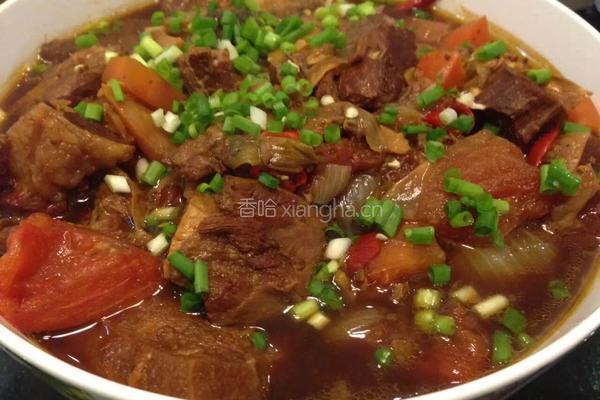 西红柿牛腩煲