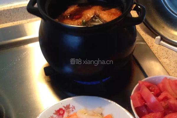 西红柿牛腩煲的做法图解6