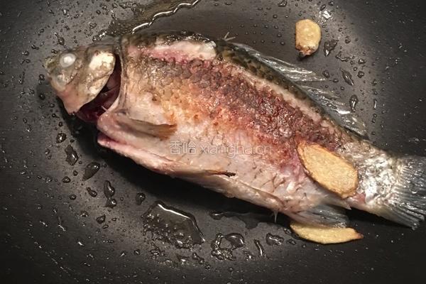 鲫鱼豆腐汤的做法图解3
