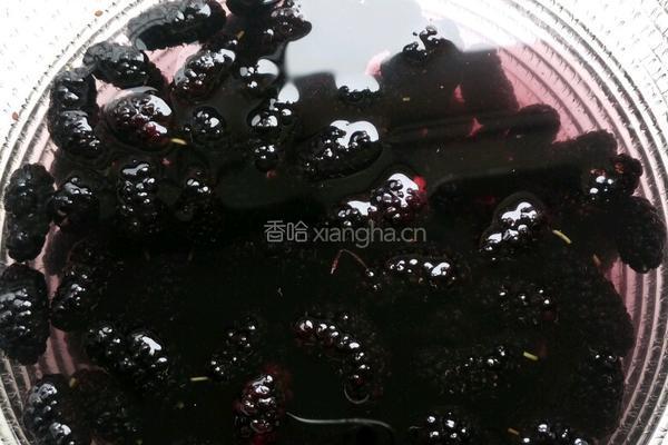 自制桑葚果酱的做法图解2