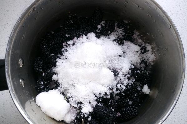 自制桑葚果酱的做法图解3