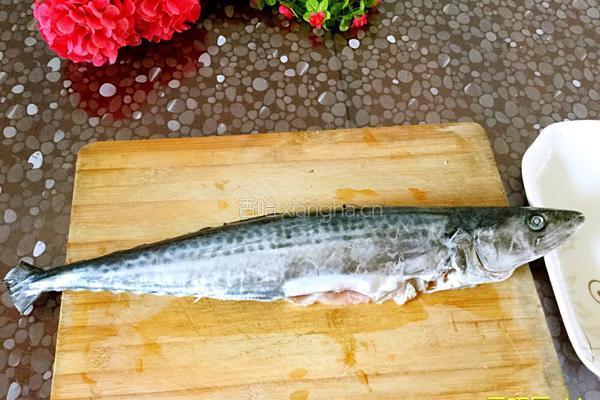 家常烧鲅鱼的做法图解3
