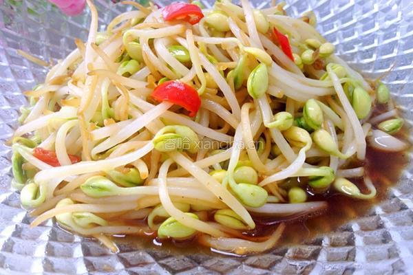 炒黄豆芽的做法图解10