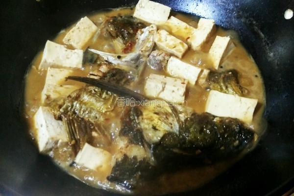 豆腐烧鲢鱼的做法图解8