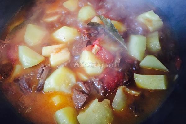 西红柿牛肉炖土豆的做法图解11