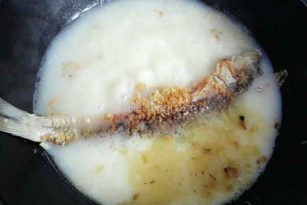 奶白鲫鱼豆腐汤的做法图解7