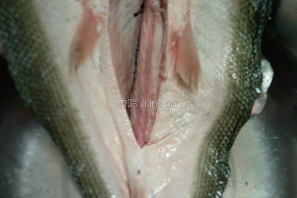 潮汕手打鱼丸的做法图解4