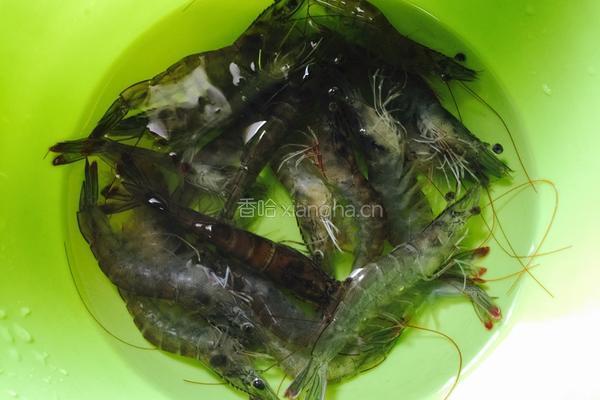 粤式白灼虾的做法图解1