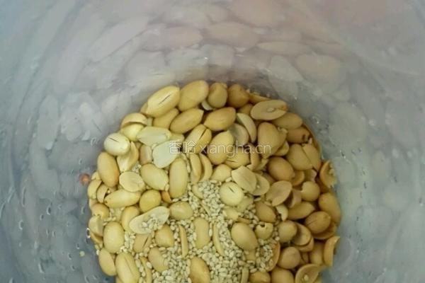 原味果仁露的做法图解1