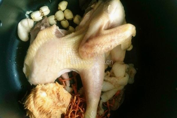 猴头菇虫草鸡汤的做法图解2