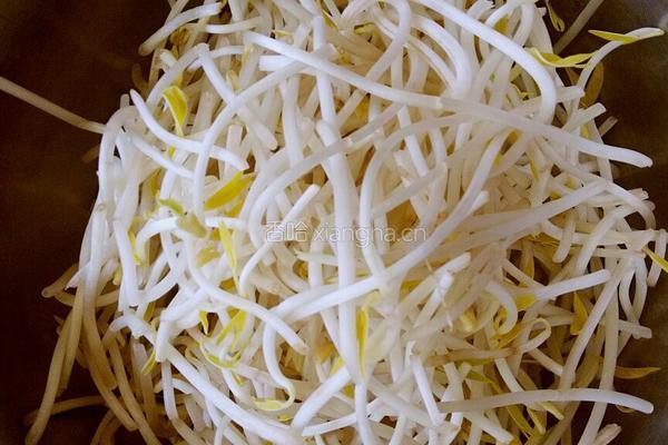 豆芽拌三丝的做法图解2