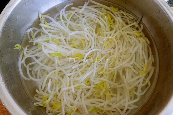 豆芽拌三丝的做法图解4
