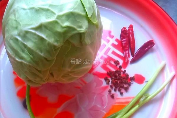 蚝油手撕包菜的做法图解1