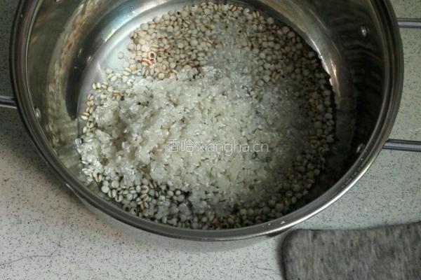 薏米粥的做法图解3