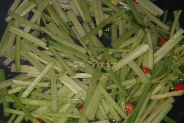 芹菜炒豆芽的做法图解3