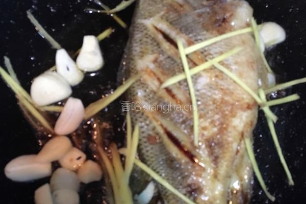 焖海鲈鱼的做法图解4