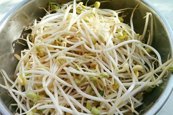 凉拌黄豆芽的做法图解1