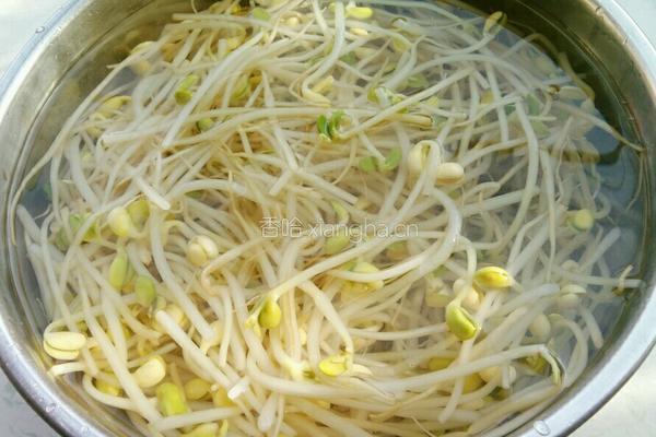 凉拌黄豆芽的做法图解3