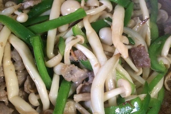 肉炒蘑菇的做法图解9