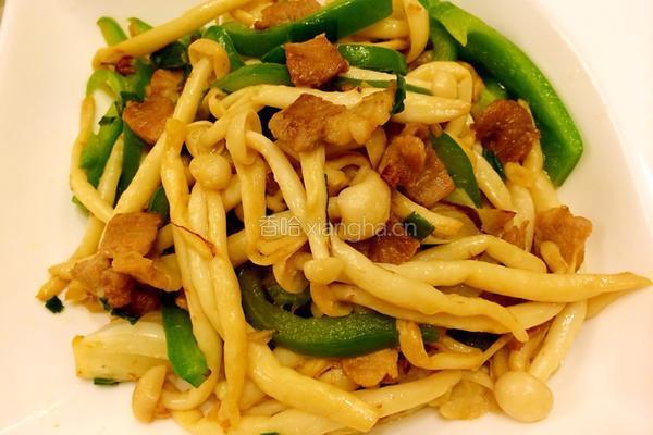 肉炒蘑菇的做法图解10