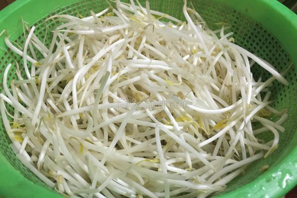 韭菜炒绿豆芽的做法图解1