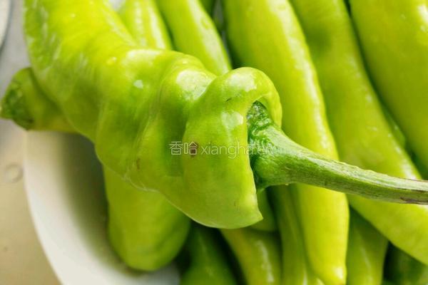 虎皮酿肉尖椒的做法图解2