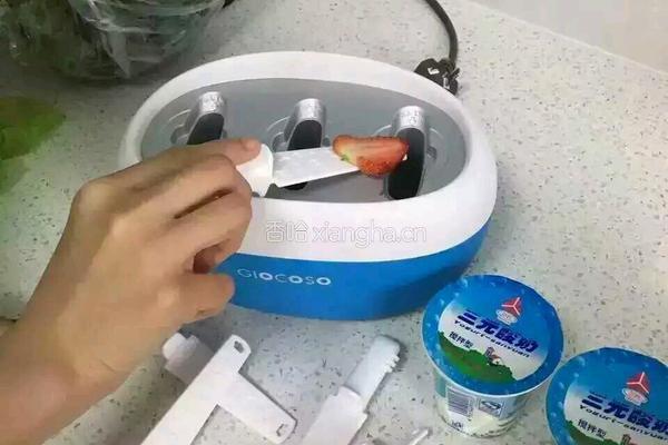 自制冰棍的做法图解2