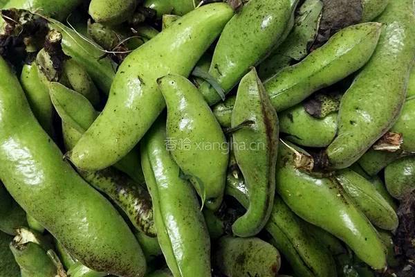 蒜香蚕豆的做法图解1