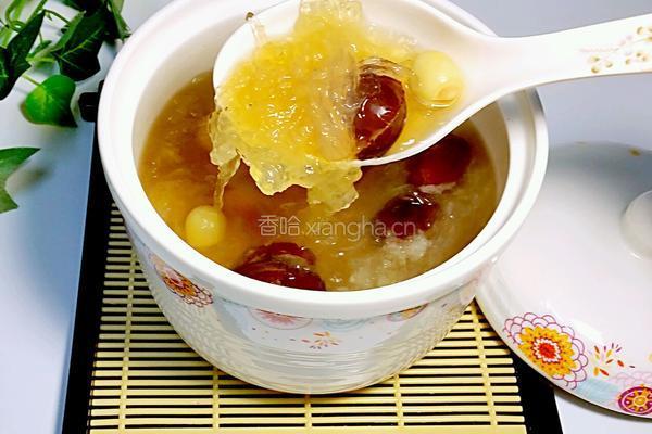 红枣冰糖炖燕窝的做法图解9