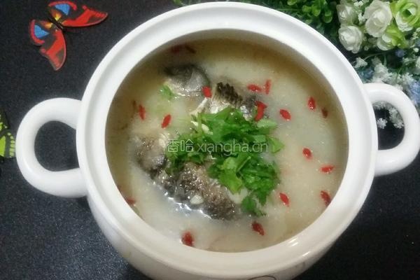 清炖鲫鱼汤的做法图解11