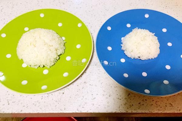 咖喱鸡肉饭的做法图解9