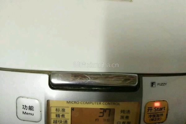蒜香蒸排骨的做法图解5