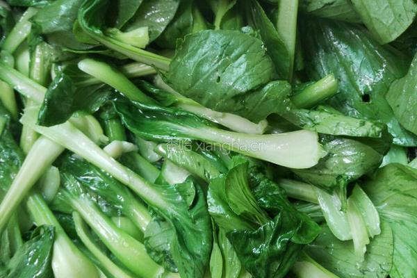 蒜蓉小油菜的做法图解5