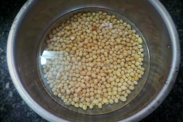 冰糖黄豆炖猪脚的做法图解4