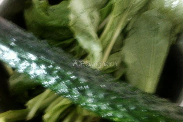 小白菜拌黄瓜的做法图解1