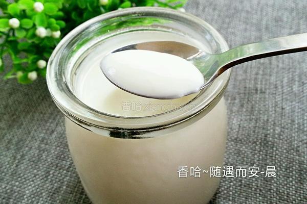 制作酸奶的做法图解16