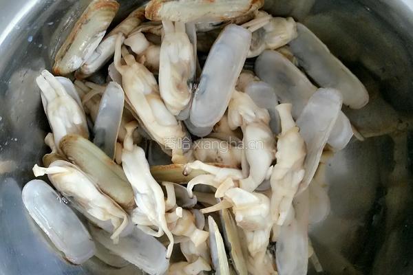 姜葱炒蛏子的做法图解4