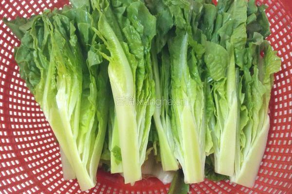 白灼油麦菜的做法图解3