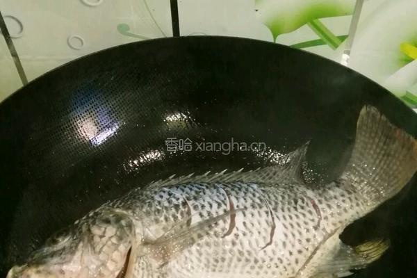 小蕃茄烧罗非鱼的做法图解4