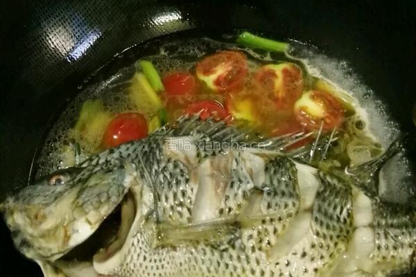 小蕃茄烧罗非鱼的做法图解7