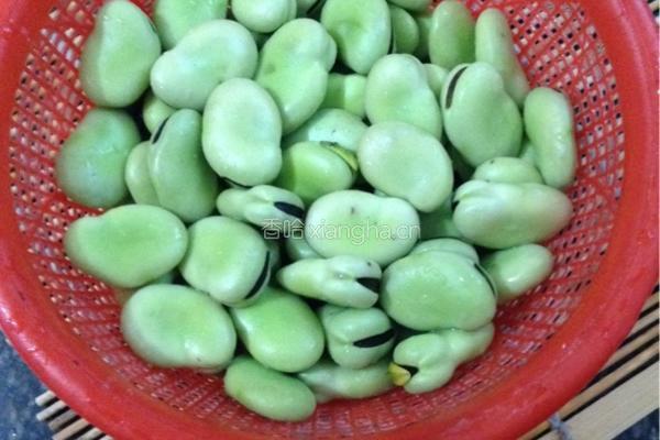 葱油浸蚕豆的做法图解1