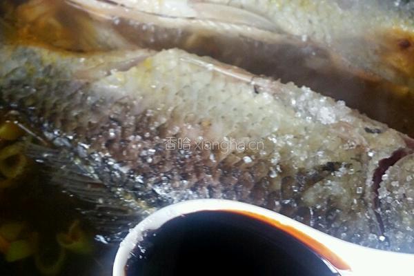 家常红烧小鲫鱼的做法图解7