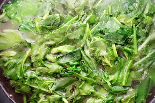 菠菜粉丝拌腐竹的做法图解2