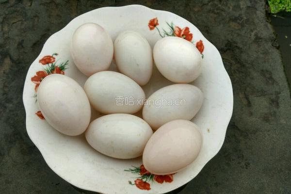 腌鸭蛋的做法图解11