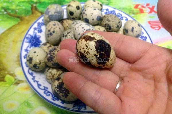 卤鹌鹑蛋的做法图解4